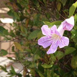 CB47A460-7327-4498-BBB0-CE88B921D743