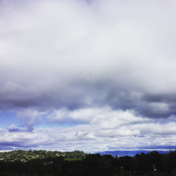 D7BF3557-9015-41B0-A698-8F6B72BD8B08