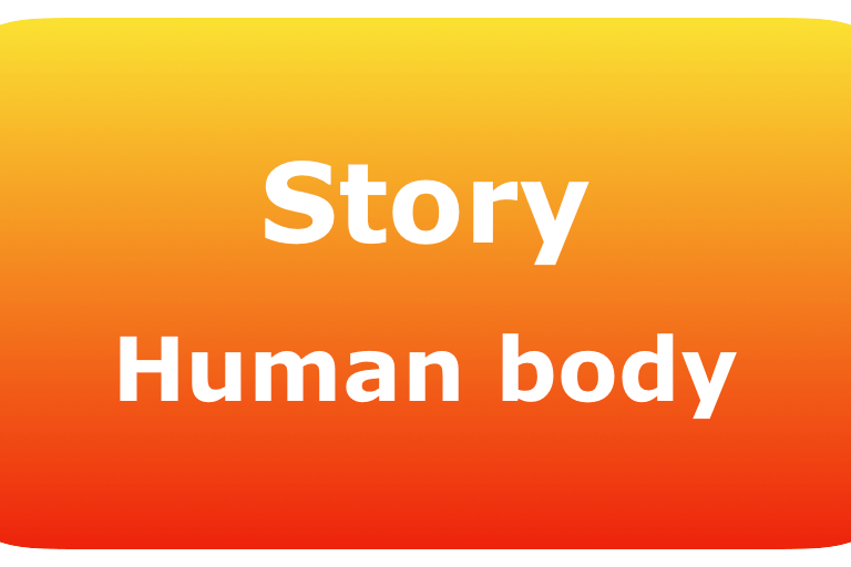 0091-story-human-body