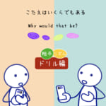 (90) ドリル編 リズム・相手  Why would that be?