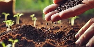 エンパシーム:音の認知構造と運動感覚に変化をもたらすメソッドとテクノロジー