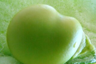 Unripe green peach resting on a leaf in soft light.