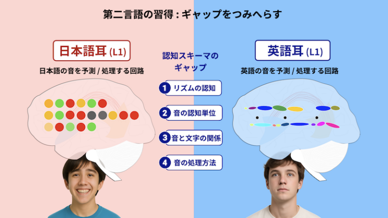 第三言語習得のギャップを減らす図。左が日本語耳、右が英語耳。中心に4項目：リズムの認知・音の認知単位・音と文字の関係・音の処理方法。